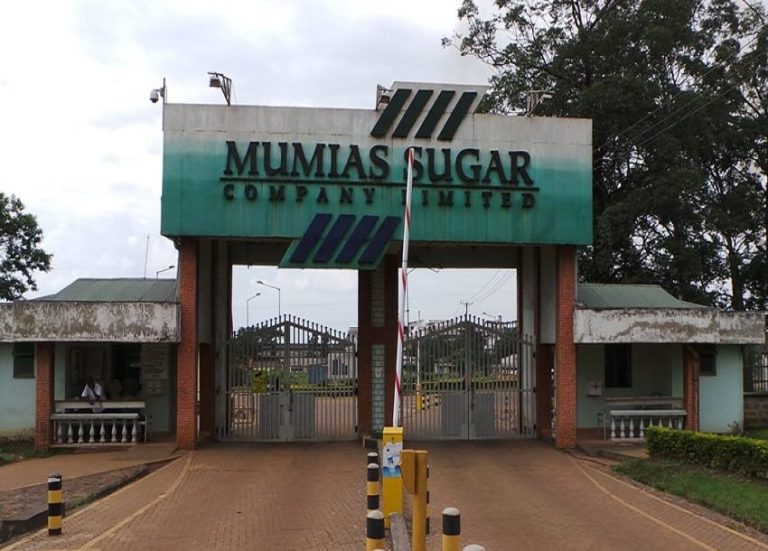 Ex-Mumias workers write to Ruto, demand expulsion of Sarrai Group Ex-Mumias workers write to Ruto, demand expulsion of Sarrai Group